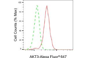 Flow cytometric analysis of AKT3 expression in C2C12 cells using AKT3 antibody (ABIN7800789), 1:2,000).