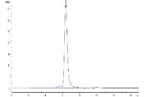 Size-exclusion chromatography-High Pressure Liquid Chromatography (SEC-HPLC) image for CD52 (CD52) (AA 25-36) protein (mFc Tag) (ABIN7274198)