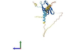 Protein Structure (PS) image for ELL Associated Factor 2 (EAF2) (AA 1-262) protein (His tag) (ABIN7560144)