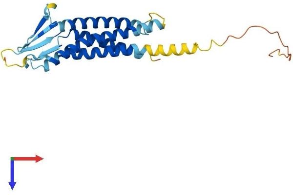 Claudin 2 Protein (CLDN2) (AA 1-230) (His tag)