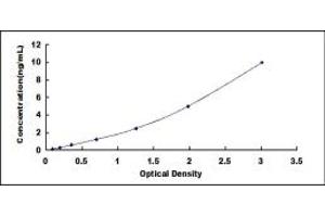 Typical standard curve (MYBL1 ELISA Kit)