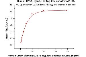 Immobilized Human CD30 Ligand, His Tag, low endotoxin (ABIN6731311,ABIN6809854) at 2 μg/mL (100 μL/well) can bind Human CD30, Llama IgG2b Fc Tag, low endotoxin (ABIN5954943,ABIN6253596) with a linear range of 0.