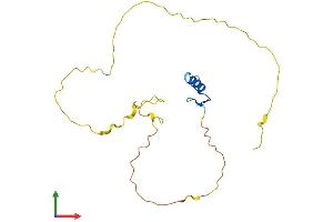 AlphaFold protein structure predicition of Human Recombinant ZNF428 Protein, UniprotID Q96B54