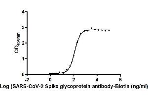 The Binding Activity of SARS-CoV-2-S Antibody, Biotin conjugated with SARS-CoV-2-S1-RBD. (Rekombinanter SARS-CoV-2 Spike S1 Antikörper  (Biotin))