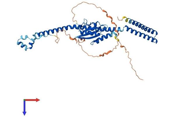 VPS37A Protein (AA 1-397) (His tag)