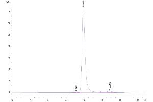 Size-exclusion chromatography-High Pressure Liquid Chromatography (SEC-HPLC) image for Dickkopf Homolog 1 (DKK1) (AA 32-142), (N-Term) protein (Fc-Avi Tag,Biotin) (ABIN7274473)