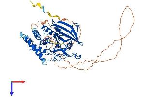 PTPN18 Protein (AA 1-453) (His tag)