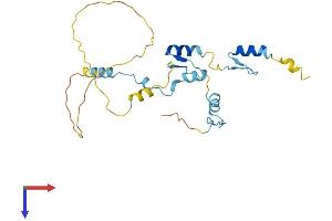 JAZF1 Protein (AA 1-243) (His tag)