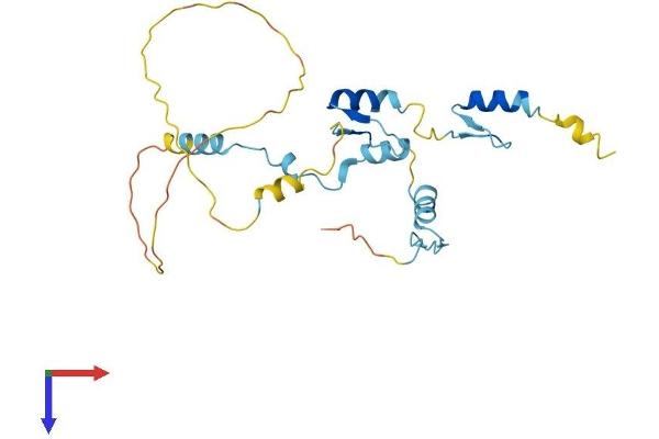 JAZF1 Protein (AA 1-243) (His tag)