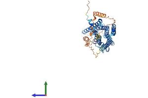 Protein Structure (PS) image for Adrenergic, alpha-2C-, Receptor (ADRA2C) (AA 1-458) protein (His tag) (ABIN7556858)