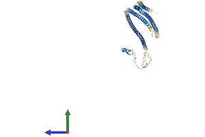 Protein Structure (PS) image for TNFAIP3 Interacting Protein 2 (TNIP2) (AA 1-430) protein (His tag) (ABIN7564880)