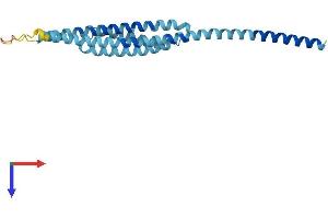 GOSR2 Protein (AA 1-212) (His tag)