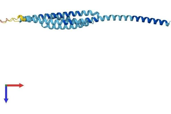 GOSR2 Protein (AA 1-212) (His tag)