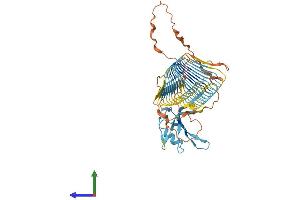 Protein Structure (PS) image for Deleted In Azoospermia 3 (DAZ3) (AA 1-486) protein (His tag) (ABIN7546986)