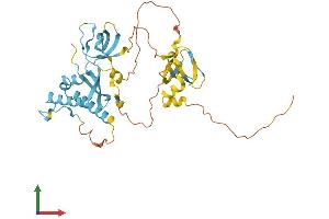 Protein Structure (PS) image for NADPH Oxidase Organizer 1 (NOXO1) (AA 1-376) protein (His tag) (ABIN7549841)