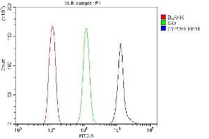 Flow Cytometry analysis of THP-1 cells using anti-Cytochrome P450 2B6/CYP2B6 antibody (ABIN6719476).