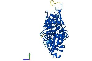 AlphaFold protein structure predicition of Human Recombinant POTEKP Protein, UniprotID Q9BYX7
