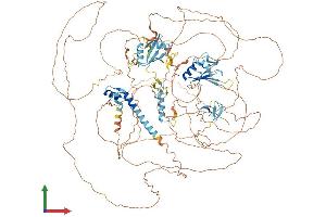 Protein Structure (PS) image for RNA Binding Motif Protein 6 (RBM6) (AA 1-1123) protein (His tag) (ABIN7555125)