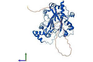 Protein Structure (PS) image for Jumonji Domain Containing 6 (JMJD6) (AA 1-403) protein (His tag) (ABIN7565053)