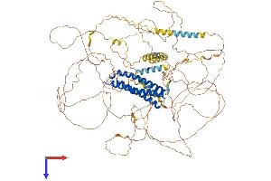 DLGAP1 Protein (AA 1-992) (His tag)