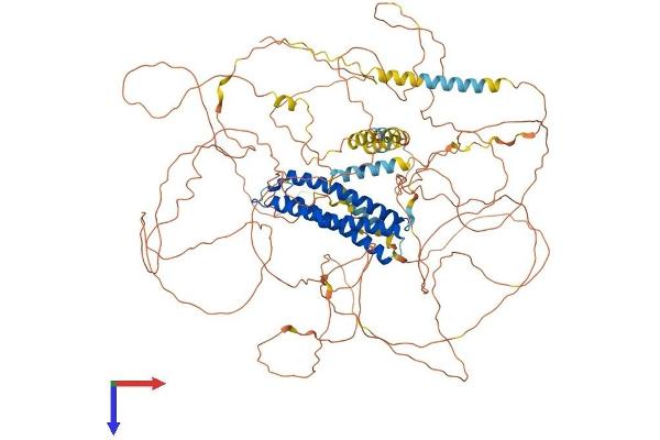 DLGAP1 Protein (AA 1-992) (His tag)