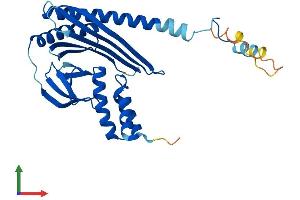 Protein Structure (PS) image for Capping Protein (Actin Filament) Muscle Z-Line, alpha 3 (CAPZA3) (AA 1-299) protein (His tag) (ABIN7556671)