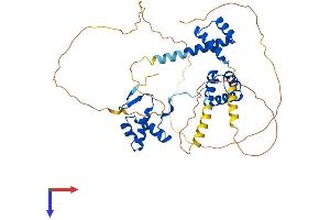 PAX6 Protein (AA 1-422) (His tag)