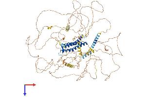 DLGAP2 Protein (AA 1-1059) (His tag)