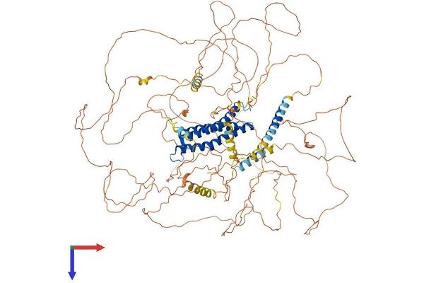 DLGAP2 Protein (AA 1-1059) (His tag)