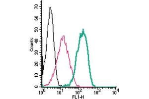 Cell surface detection of TRPV1 by indirect flow cytometry in live intact human  monocytic leukemia cell line: + goat-anti-rabbit-FITC.