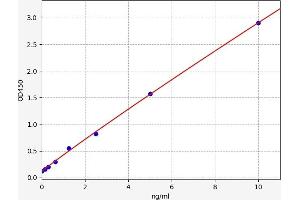 POMC ELISA Kit