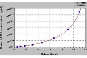 Typical Standard Curve (LASP1 ELISA Kit)