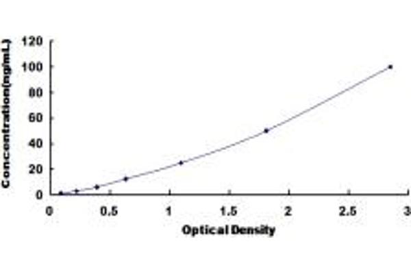 CARNS1 ELISA Kit