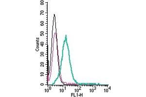 Cell surface detection of GPR174 by direct flow cytometry in live intact mouse  B lymphocytes cells: + Rabbit IgG Isotype Control-FITC (ABIN7582044).