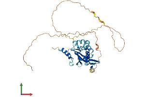 AlphaFold protein structure predicition of Human Recombinant BNIPL Protein, UniprotID Q7Z465