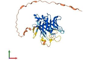 Protein Structure (PS) image for Phospholipid Scramblase 2 (PLSCR2) (AA 1-307) protein (His tag) (ABIN7561361)