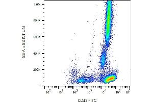 Flow cytometry analysis (surface staining) of human peripheral blood with anti-CD43 (MEM-59) FITC. (CD43 Antikörper  (FITC))