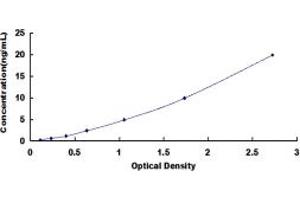 Typical standard curve (SSH1 ELISA Kit)