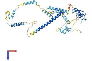 Zinc Finger, FYVE Domain Containing 19 (ZFYVE19) (AA 1-389) protein (His tag)