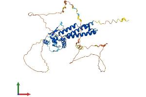 Protein Structure (PS) image for Transcription Factor AP-2 gamma (Activating Enhancer Binding Protein 2 Gamma) (TFAP2C) (AA 1-450) protein (His tag) (ABIN7552194)