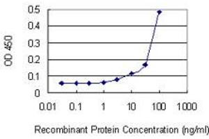 Detection limit for recombinant GST tagged SEPT8 is 3 ng/ml as a capture antibody. (Septin 8 Antikörper  (AA 1-258))