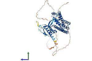 AlphaFold protein structure predicition of Human Recombinant ARHGEF3 Protein, UniprotID Q9NR81 (ARHGEF3 Protein (AA 1-526) (His tag))