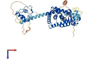 PPARA Protein (AA 1-468) (His tag)