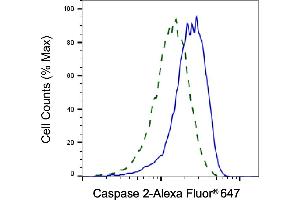 Validation of Caspase 2 knockdown using flow cytometry. (Rekombinanter Caspase 2 Antikörper)