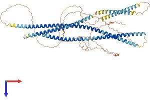 Golgin A8 Family, Member A (GOLGA8A) (AA 1-631) protein (His tag)