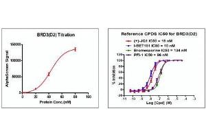Screening Assay (ScA) image for Bromodomain Containing 3 (BRD3) (AA 306-416) protein (His tag,DYKDDDDK Tag) (ABIN2669642)