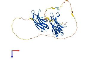 DOC2B Protein (AA 1-412) (His tag)