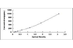 Typical standard curve