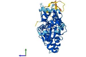 Protein Structure (PS) image for Actin-Like 10 (ACTL10) (AA 1-346) protein (His tag) (ABIN7561929)
