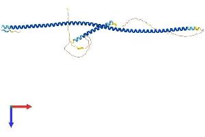 NDEL1 Protein (AA 1-345) (His tag)